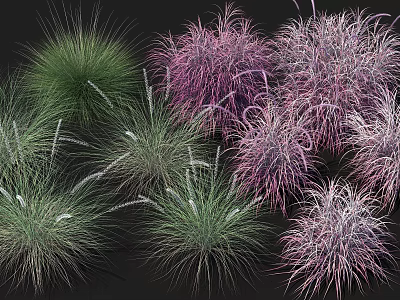 Diverse Green and Purple Ornamental Grasses for Lush Garden Landscaping 3d model