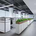 Modern Office Interior Design With Desk Chairs Windows And Decorative Plants