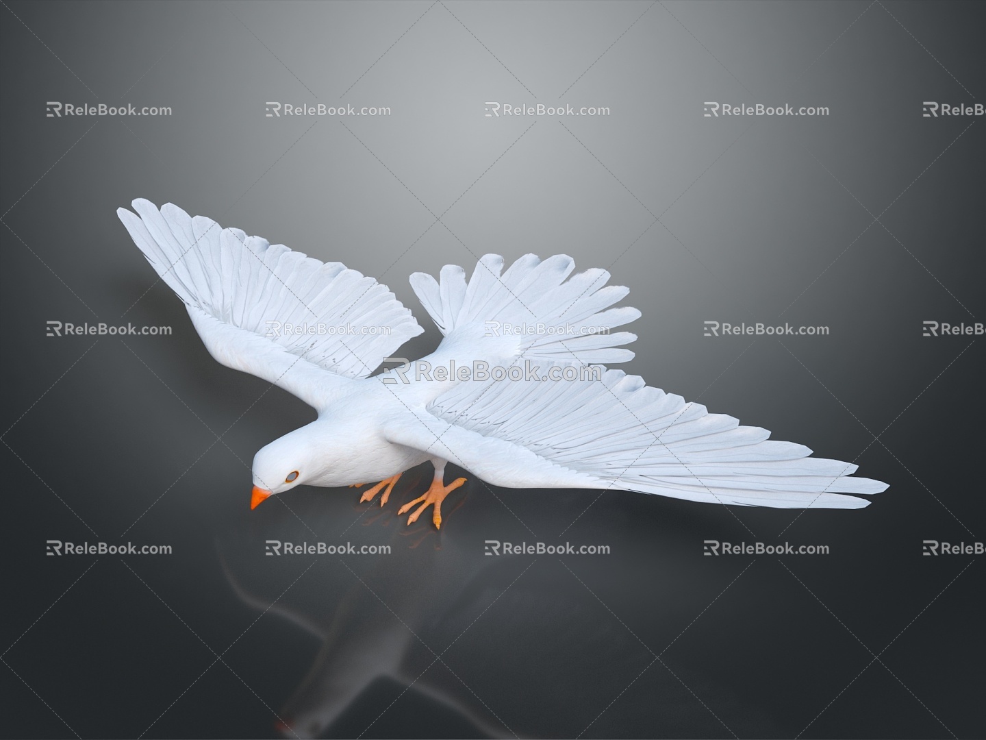 Pigeon Edible Pigeon Play Pigeon Racing Pigeon Military Pigeon Experimental Pigeon Wild Pigeon Rock Pigeon Raw Pigeon 3d model