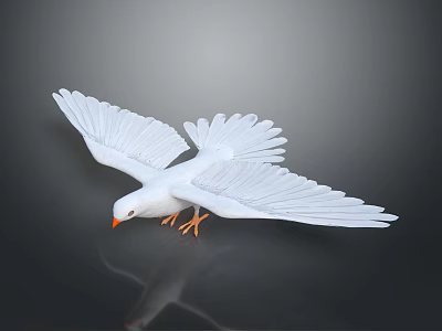 White Dove With Spread Wings Orange Beak And Feet On Dark Background With Reflection 3d model