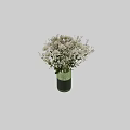 White Chrysanthemums in Green Cylindrical Striped Vase with Small Blooms and Foliage
