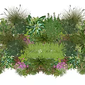 Diverse Plant Combination For Garden Landscaping With Green Foliage Purple Flowers And Grasses