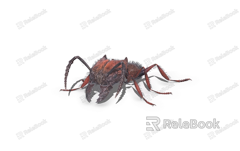 ant insect model