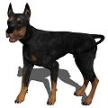 Dog 3d model