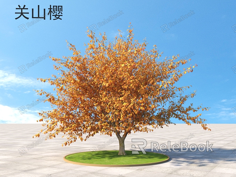 Guanshan Cherry Shrub Plants model