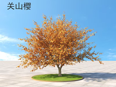 Guanshan Cherry Shrub Plants 3d model