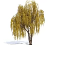 Weeping Willow Tree With Long Yellow Drooping Branches And Brown Trunk 3d model