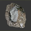 Natural Wood Stone Decorative Display With Large Rock Small Stones And Green Plants