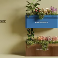 Beautiful Flower Plants Arranged in Hanging Planter Boxes with Blue and Brown Design on Wall