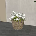 White Small Flowers In Wicker Basket On Gray Floor With Gray Wall And Green Plant