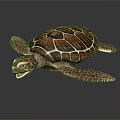 Brown Sea Turtle With Patterned Shell And Flippers On Dark Background
