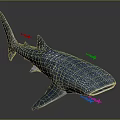 Large Spotted Whale Shark With Small Fish In Realistic Marine Scene