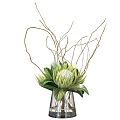 hydroponic green plant flower arrangement vase 3d model