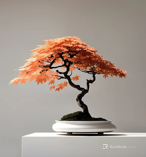 Orange Leaf Bonsai Tree with Curved Trunk in White Pot Covered with Moss 3d model 