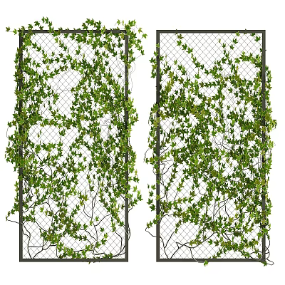 Plant Vine Man 3d model