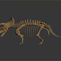 Detailed Triceratops Skeleton 3D Model of Prehistoric Dinosaur with Anatomical Structure