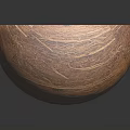 Halved Fresh Coconut with White Flesh and Brown Shell on Black Background