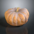 Fresh Ripe Orange Pumpkin With Smooth Ribbed Surface On Dark Reflective Background