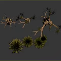 Various Palm Trees With Green Leaves And Brown Trunks In Different Sizes 3d model