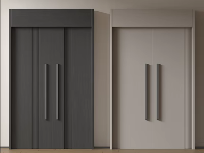 Modern Double Doors With Dark And Light Finishes And Vertical Handles In Interior Space 3d model