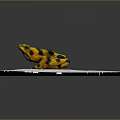 Yellow and black spotted frog sitting on white circular platform with gray background