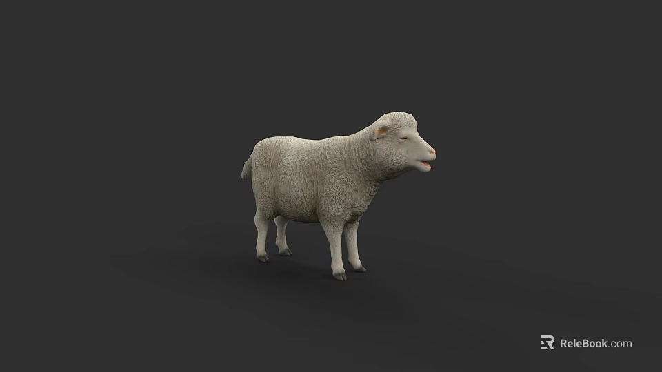 White Lamb 3D Render Model Isolated On Dark Background With Soft Fur 3d model 