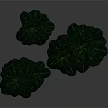 Green Potted Plants With Different Heights On Gray Background And Colored Pots