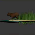 Small Island Scene With Capybara Tall Grass Blue Water And Sandy Ground
