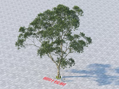 Thin-leaved Millennial Banyan Arbor With Lush Green Foliage And Sturdy Trunk 3d model
