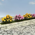 Vibrant Yellow And Pink Flowers In Stone Flower Bed With Blue Sky And Slate Pavement