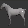 Realistic 3D Rendered White Horse Standing On Dark Background With Reflection 3d model