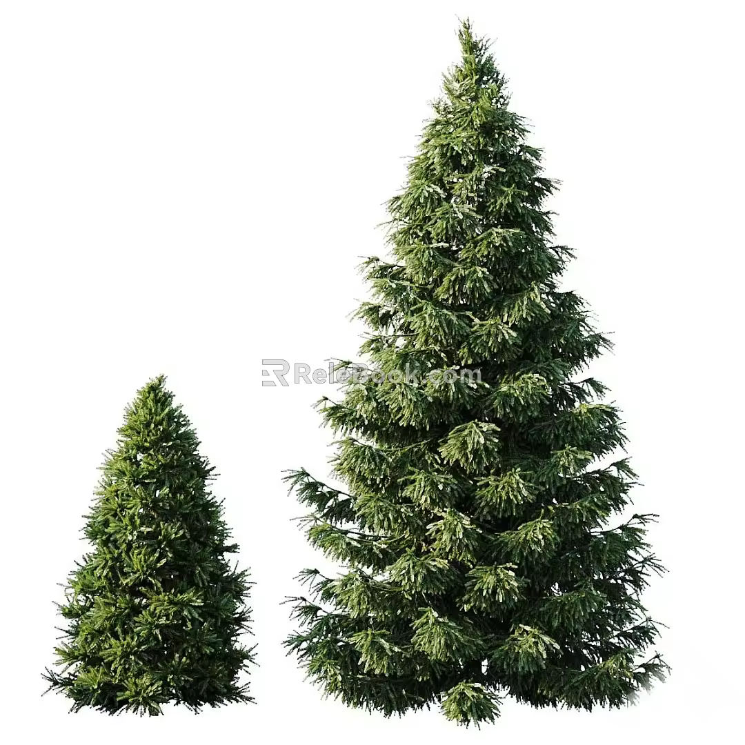 Modern Landscape Trees Poplar Maple Pine Trees Big Trees Tropical Trees 3d model