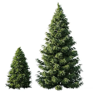 Modern Landscape Trees Poplar Maple Pine Trees Big Trees Tropical Trees 3d model
