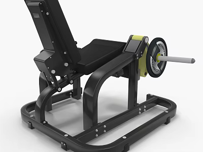 Black Metal Frame Strength Training Sports Equipment With Padded Seat And Barbell Plate 3d model