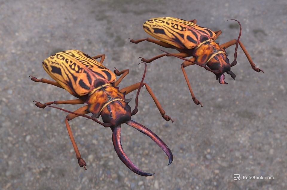 Two Reptiles With Yellow Black Patterns Crawling On Natural Rocky Ground Surface 3d model 