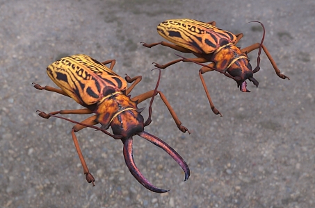 Modern saber-toothed tiger beetle female and male insect animal creatures 3d model