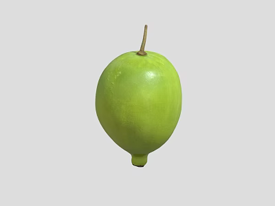 Single Fresh Vibrant Green Oval Shaped Fruit With Brown Stem Healthy Organic Produce 3d model
