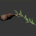 Giraffe Game Movie Character Eating Green Leafy Branch In Animated Scene