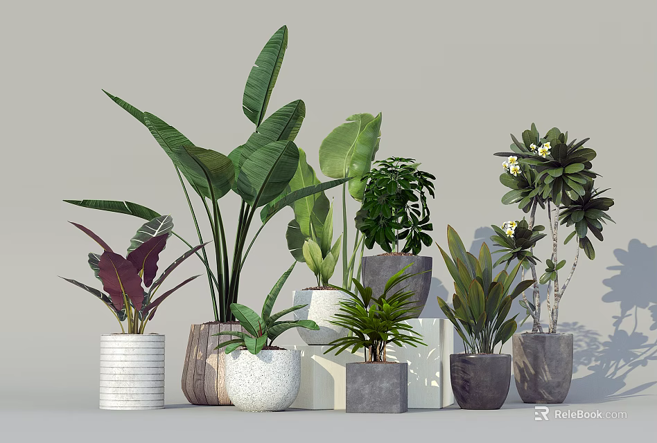 Various Leafy Potted Plants In Decorative Ceramic Stone Pots For Home 3d model 