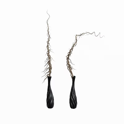 Decorative Ornament Set with Two Black Vases and Vine Like Decorations for Modern Home Interior 3d model