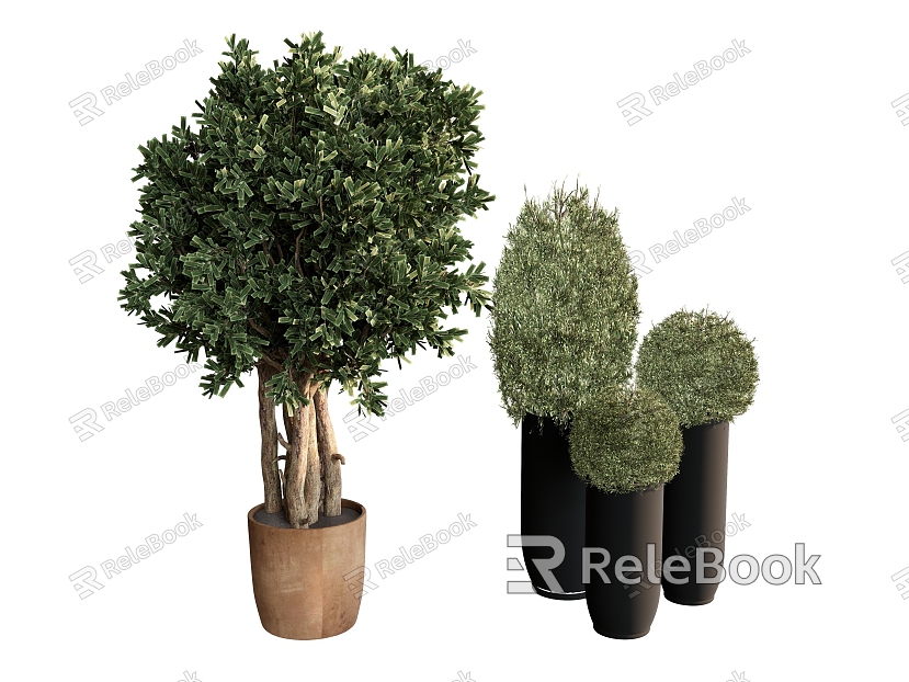 flowerpot potted plant green plant plant ball model