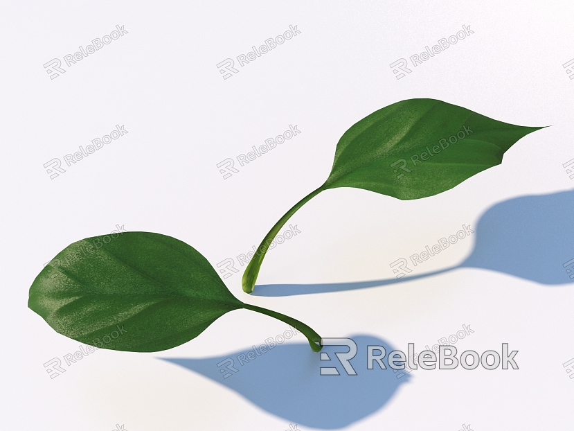 vegetables, vegetable leaves, leaves, food model