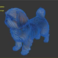 Fluffy Brown And White Shih Tzu Puppy Standing On Shiny Dark Floor
