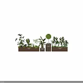 Decorative Leafy Green Plants Including Topiary Tree and Tropical Ferns in Wooden Planters