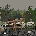 Bonsai Potted Plants Indoor Display With Various Green Plants Wooden Chair And Floor Lamp