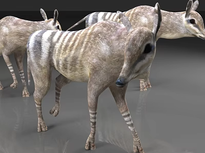 Three Striped Reptile Creatures Displaying Unique Skin Patterns On Gray Surface 3d model