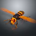 Hornet With Yellow And Black Striped Body And Transparent Wings Detailed Close Up View