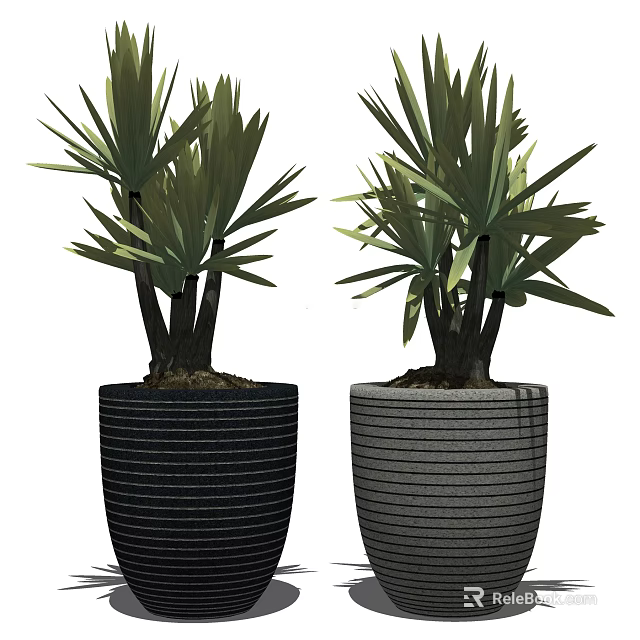 Lush Green Bonsai Potted Plants in Black and Gray Striped Pots 3d model 