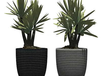 Lush Green Bonsai Potted Plants in Black and Gray Striped Pots 3d model