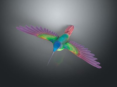 bird hummingbird bird animal game animal cartoon animal model